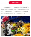 2016清远花市